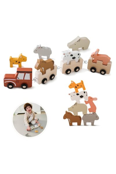 Arelair Magic Box Wooden Train with Animal Blocks, Montessori Toy, Children's Gift