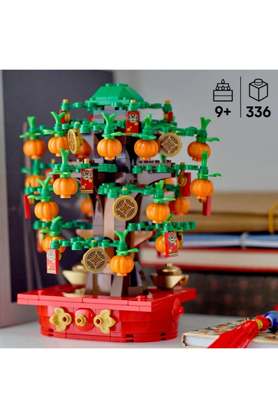 TOYFEST Money Tree Making Kit Luck and Abundance Decor with Red Envelope and Tangerine for Children over 9 Years Old
