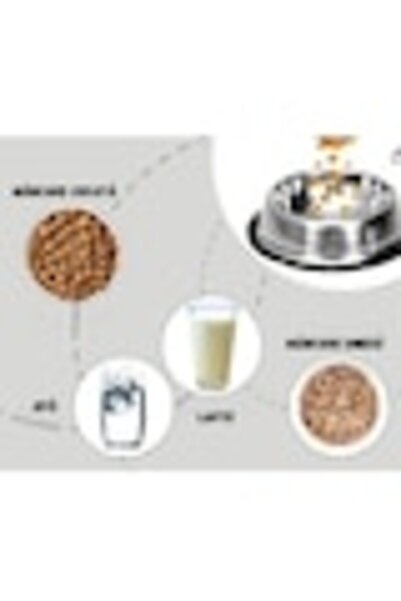 ADLUMUS Water/food bowl, stainless steel with non-slip rubber base for large pets