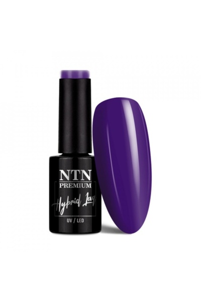 NTN PREMIUM Semi-permanent nail polish TPO free 264 Oriental Delice