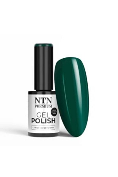 NTN PREMIUM Semi-permanent nail polish TPO free 027 Uptown Girl Collection