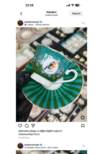 Hediye Köşkü Acar Lüks Porselen Bird Kahve Fincanı 6 kişilik (yeşil)