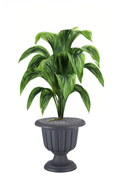 polivahome Ev, Ofis ve Bahçe İçin Uygun –Estetik Ayaklı Plastik Saksı | Çiçek...