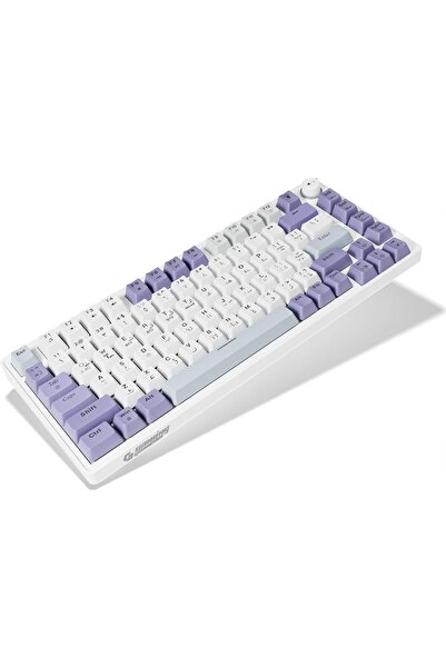 Gaming Gambler 75% Mechanical Keyboard – SKYWAVE AURORA