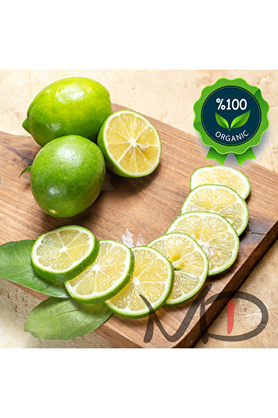 Magika Design Lime Limon - Yeşil Limon, Yerli Üretim, 100 GR - %100 Doğal, %1...