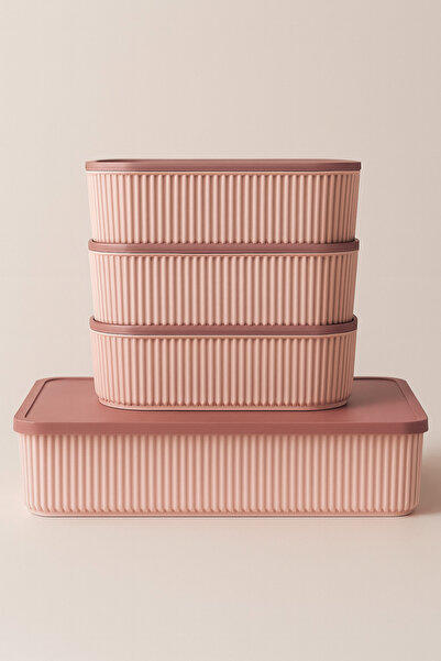 BULUT 4lü çizgili mix saklama kabı