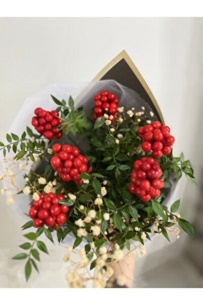 greendeco Kokina çiçeği 6 Dal cipso aranjman siyah buket -şans çiçeği-yılbaşı çiçeği