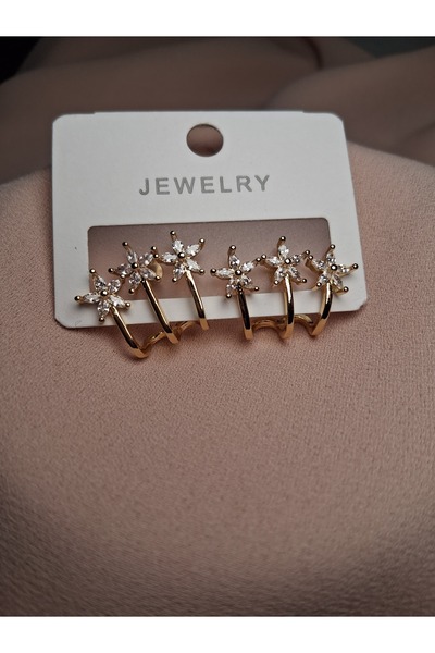 TwinRoots Non-Tarnish Steel Gold Color Earring Set