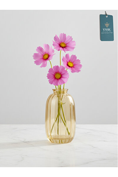 YNSK Luxury | Minimalist Dekor Cam Vazo, Oda Kokusu Şişesi, - 6 X 4 X 12 cm
