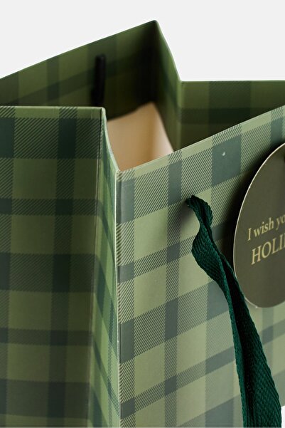 Muy Mucho Checkered Bottle Gift Paper Bag, Green