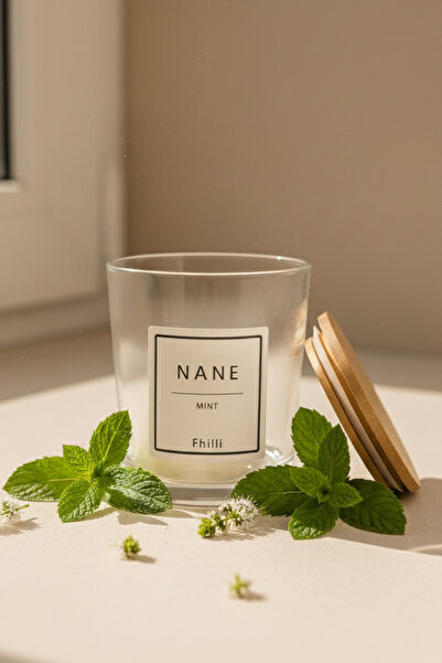 Fhilli Nova - 12-Piece Bamboo Vacuum Lid Glass Storage Container Spice Jar Set with Label Gift 350 ml