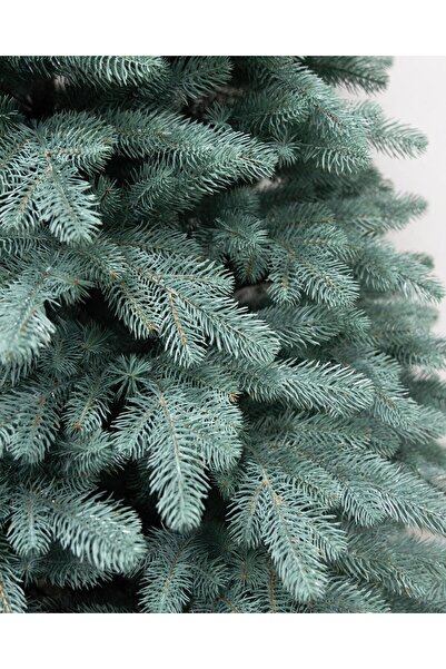 ChristmasExpress Artificial fir tree ELIT NOBIL blue, 230cm, 100% molded branches