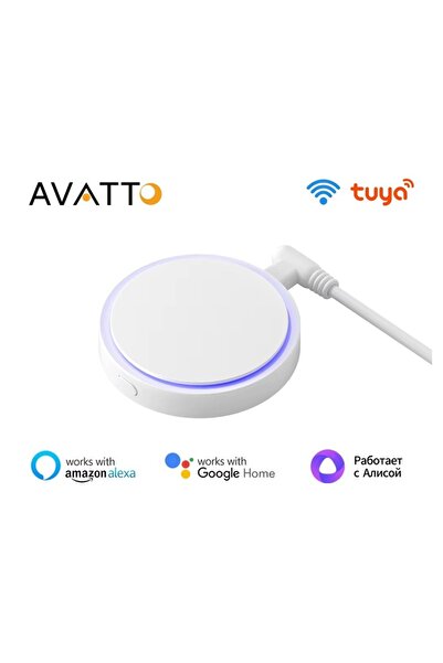 Avatto Tuya Wifi Varlık Sensörü