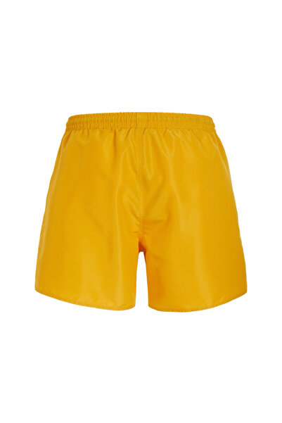 EA7 Men's M GRAPHIC PALM SHORTS Swim Shorts