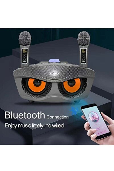 SDRD Portable Bluetooth Karaoke Speaker with Dual Wireless Mics for Kids & Adults