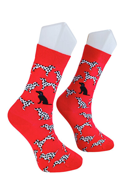 Shuttle Park Special Series Happy Colorful Patterned Dog Socks Fun Comfortable Stylish Design Style Stitch-Free Sock Socks