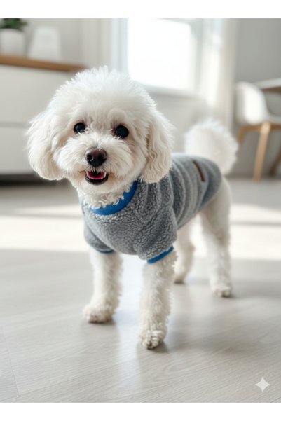 PATİLİNKA Cat - Dog Welsoft Soft Plush Sweat - Clothing - Coat - Vest