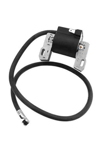 TAIWAN Ignition Briggs&Stratton 7-16 HP 298968 (model 2)