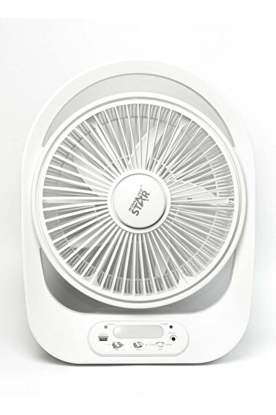 WINNINGSTAR Winning Star Fan, 12 Inch, Five Blades, ST-4056