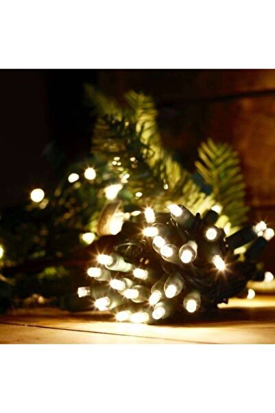 Flippy Battery Christmas Lights, Linear Type, 2 Light Modes, Green Wire 1 m, 10 LEDs, Warm White