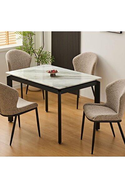 Danube Home Flash 4-Seater Marble Top Dining Table - Elegant White Grey/Black Finish, 2-Year Warranty