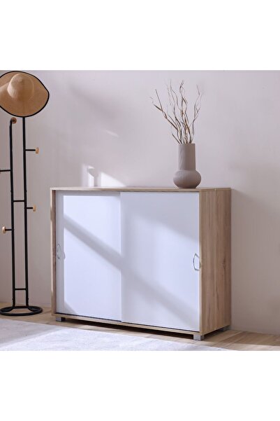 Danube Home Claster 2-Door Sliding Shoe Cabinet - White, Holds 34 Pairs, Styl...