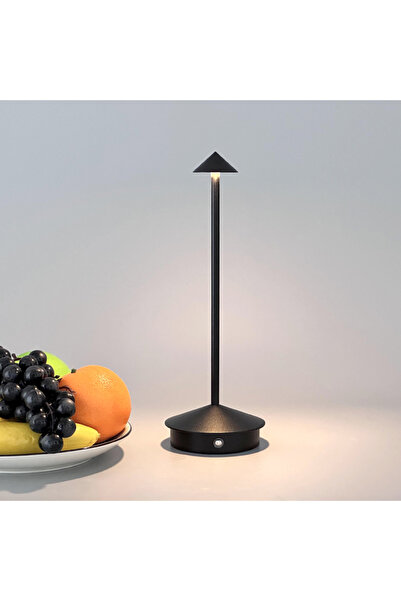 ElastiX shop Touch lamp with LED light, 3 types of warm, cold and neutral light, 30 x 10 cm, Elastix