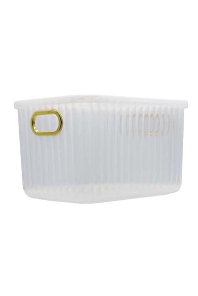 Generic Plastic Case with Golden Handle 7216-AL