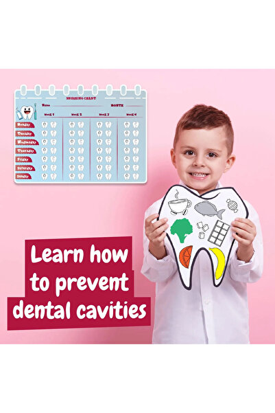 Hashtag Toys My First Dentist Educational Playset (Ages 5-10)