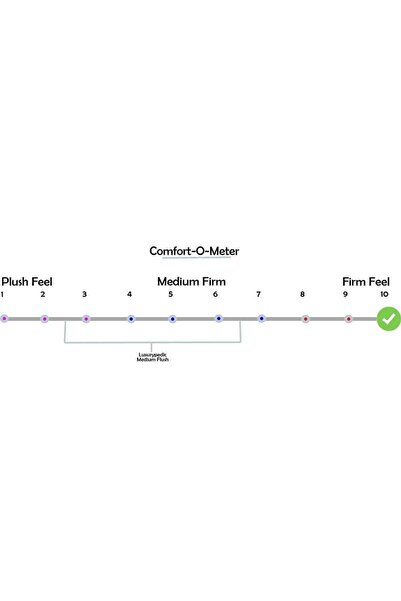 Danube Home Cozy Double Medical King Mattress 180x210cm - 23cm Thick, Anti-Allergic Firm Support, 5-Yr Warranty
