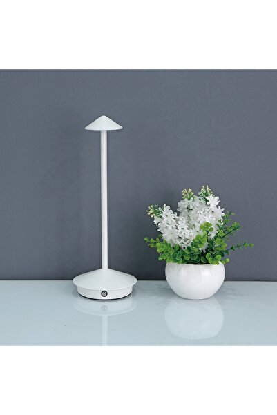 ElastiX shop Touch lamp with LED light, 3 types of warm, cold and neutral light, 30 x 10 cm, Elastix