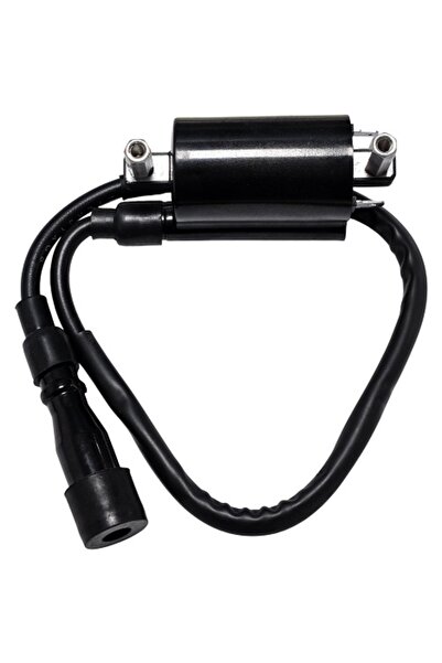 OEM Bobina inductie ATV Linhai model 2