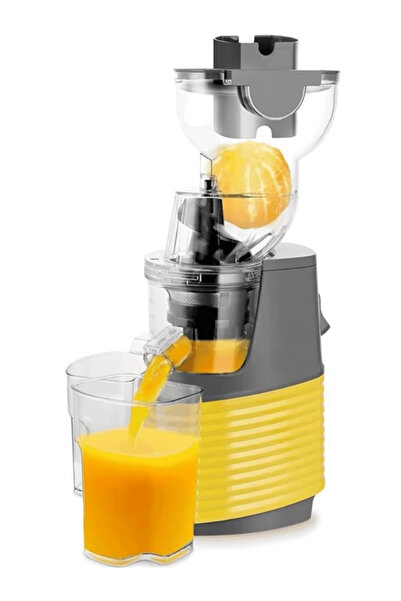 DSP Whole Slow Juicer