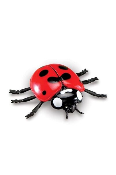 OEM Set of 11 Insects, Insect World Nature, multicolor, 6 cm