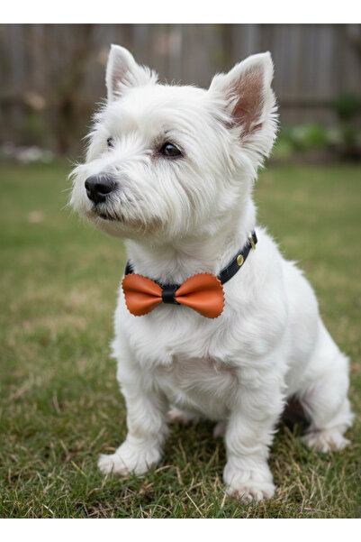 balkonda Dog Bow Tie Collar Genuine Leather Snap Adjustable Small and Medium ...