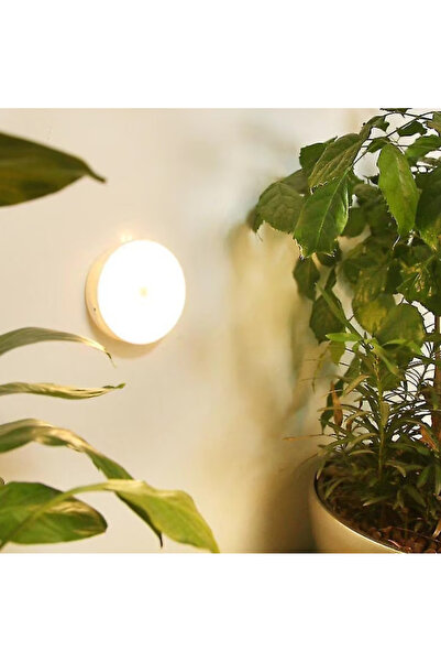 OEM Mini LED lamp with motion and light sensor Andowl Q Led50