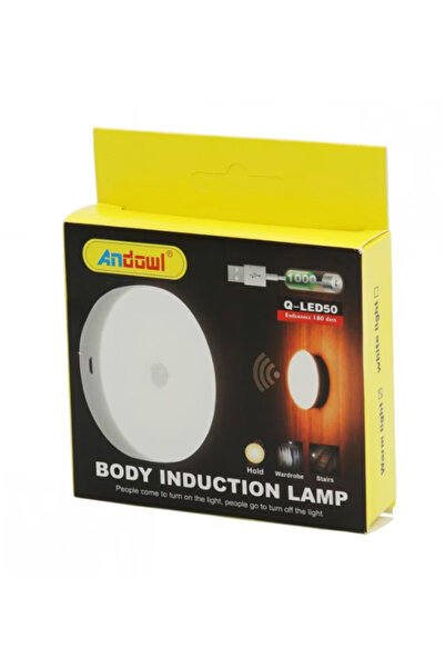 OEM Mini LED lamp with motion and light sensor Andowl Q Led50
