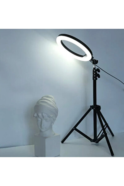 OEM Professional Circular LED Ring Light RGB 33cm Q MG33