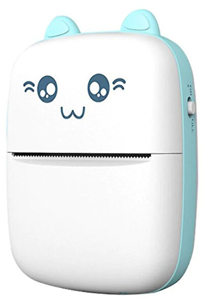 OEM Mini thermal printer set and 10 paper rolls