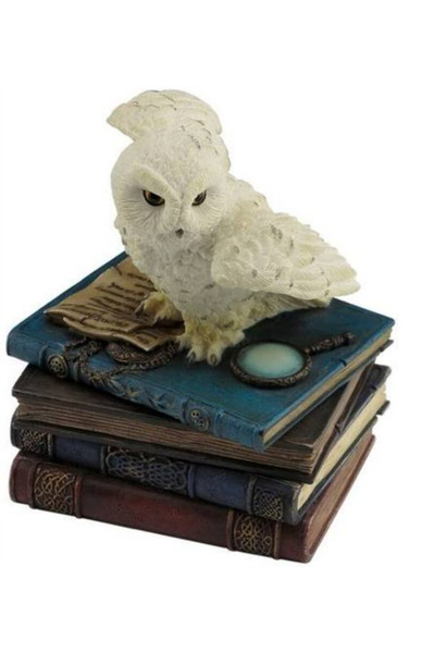 Veronese Wise Baykus Kutu 10*9*12 cm Size: 10*9*12 cm