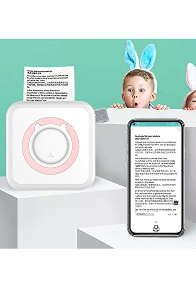 OEM Mini thermal printer set and 10 paper rolls