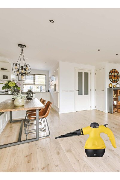 Generic Portable Handheld Steam Cleaner 1000 W Multifunctional High Temperature With 9 Pieces Accessories