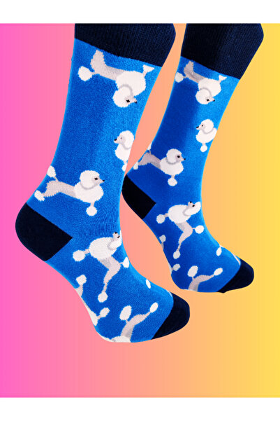 Shuttle Park Special Series Happy Colorful Cute Dog Patterned Dog Socks Fun Comfortable Stylish Design Style Socks