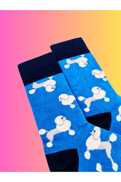 Shuttle Park Special Series Happy Colorful Cute Dog Patterned Dog Socks Fun Comfortable Stylish Design Style Socks