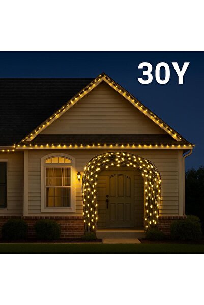 OEM 30Y LED Strip, Ultra Bright, Perfect for Christmas Decorations Like in the Movies