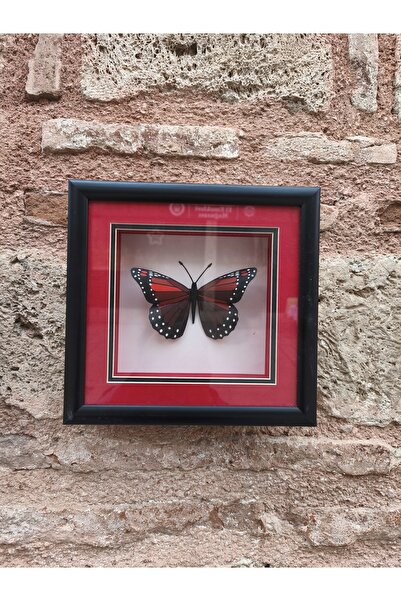 Demet Sanat Atölyesi KAĞIT RÖLYEF KELEBEK TABLO (25*25)