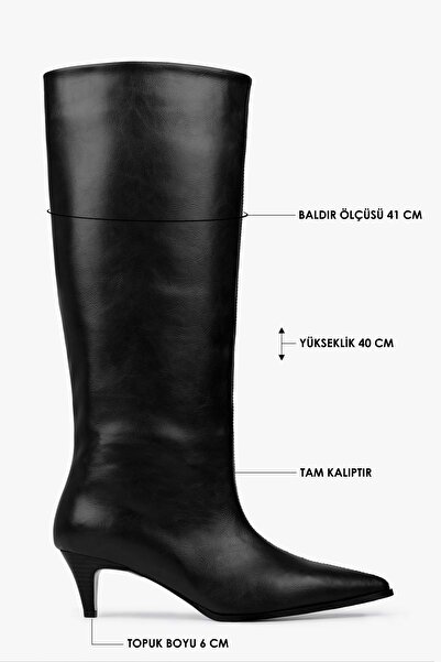 Shoeberry Women's Lula Black Leather Short Pointed Heeled Boots