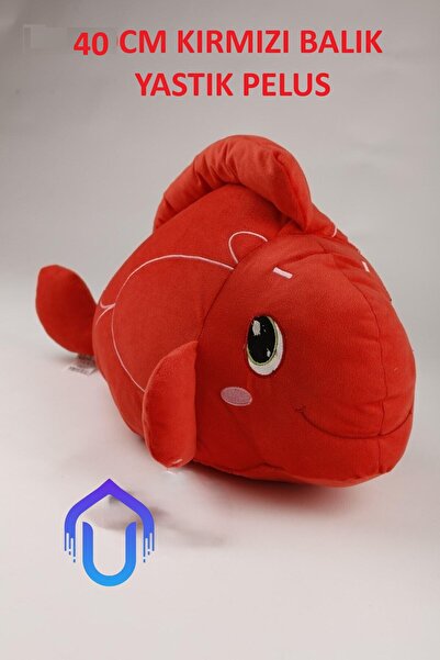 urfakent bilişim ve medya danışmanlık PELUS BALIK KIRMIZI BALIK GÖLDE/Bay Her...