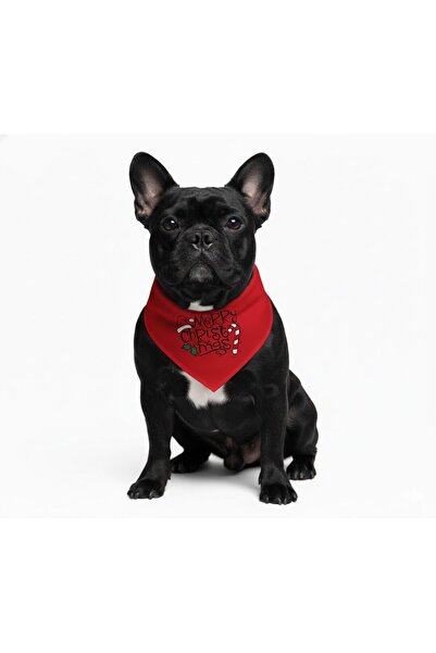 PetiliDünya وشاح كلب الكريسماس (2-15 كجم)