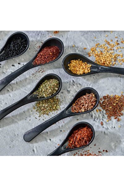 CELSEN HOME 6 Black Serving and Spice Spoons - Breakfast Honey Spoons Sugar J...